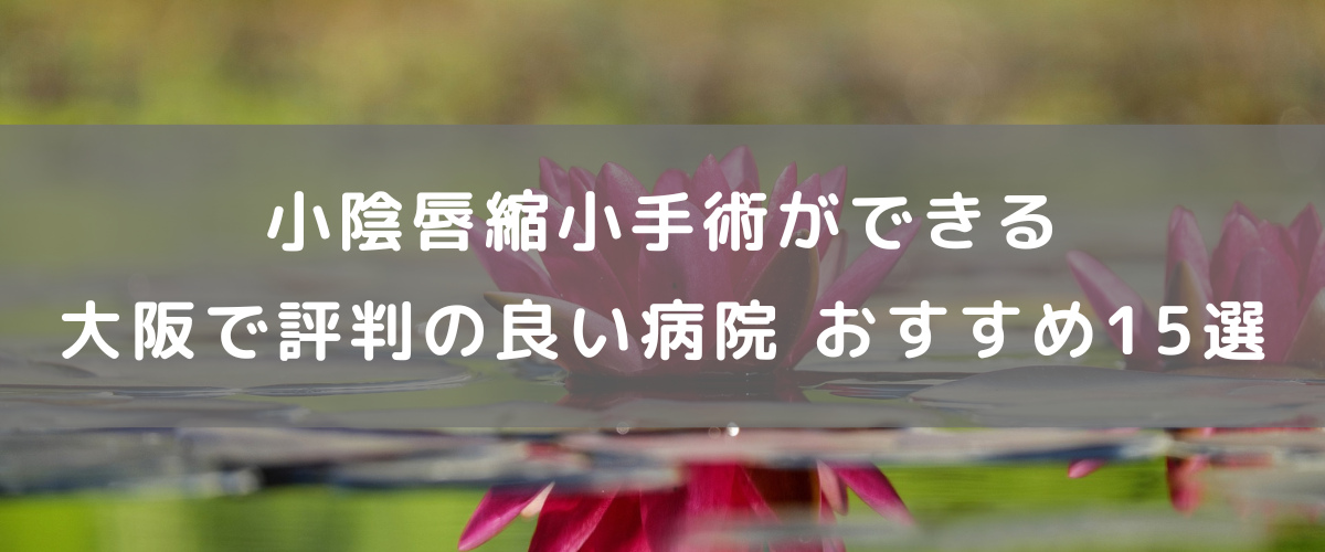 大阪で小陰唇縮小手術ができる評判の良い病院 おすすめ15選