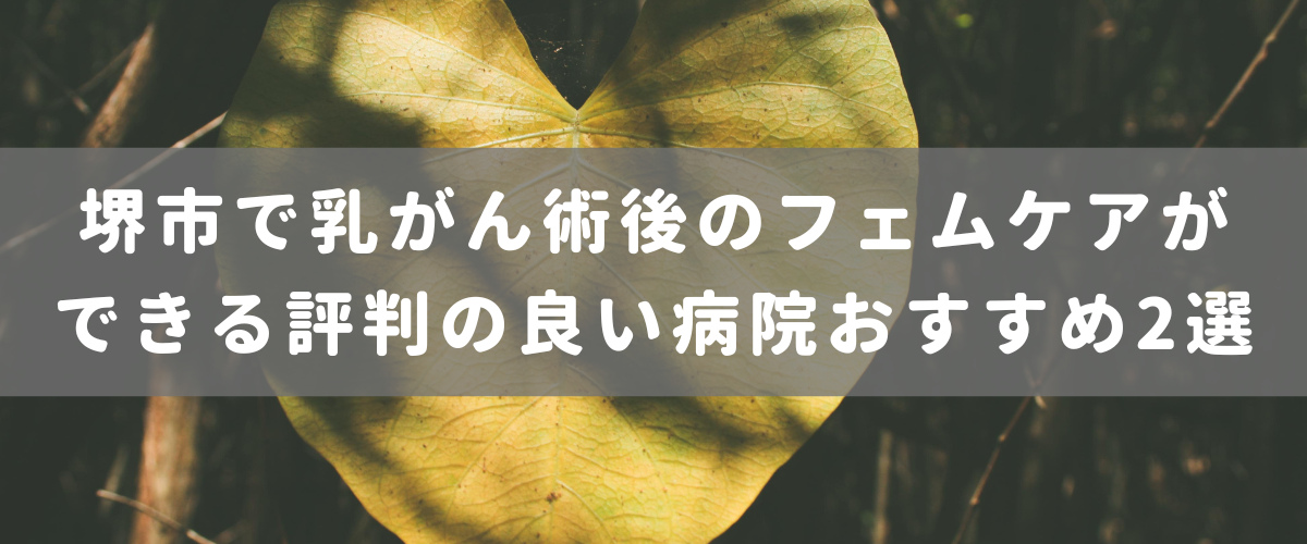 堺市で乳がん術後のフェムケアができる評判の良い病院おすすめ2選