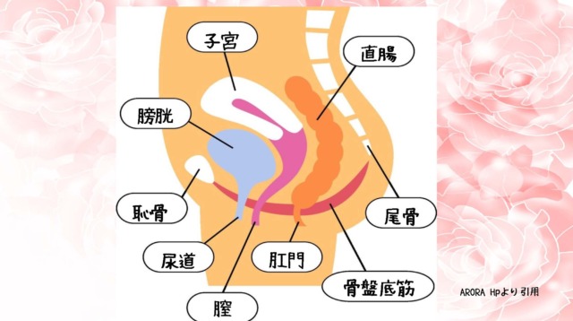 咲江先生スライド