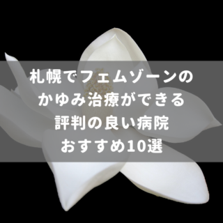 札幌でフェムゾーンのかゆみ治療ができる評判の良い病院おすすめ10選