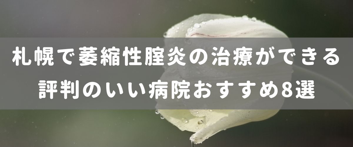 札幌で萎縮性腟炎の治療ができる評判のいい病院おすすめ7選 札幌で萎縮性腟炎の治療ができる評判のいい病院おすすめ7選