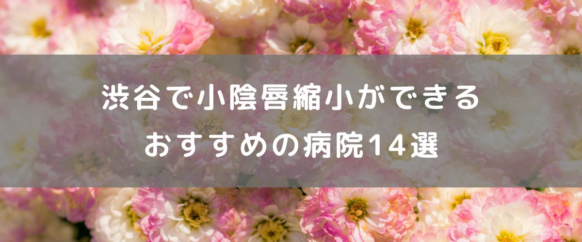 渋谷で小陰唇縮小ができるおすすめの病院14選