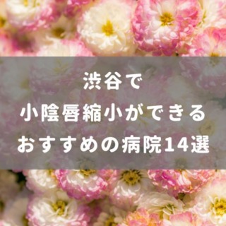 渋谷で小陰唇縮小ができるおすすめの病院14選