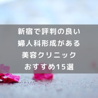 新宿で評判の良い婦人科形成がある美容クリニックおすすめ15選