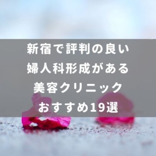新宿で評判の良い婦人科形成がある美容クリニックおすすめ19選