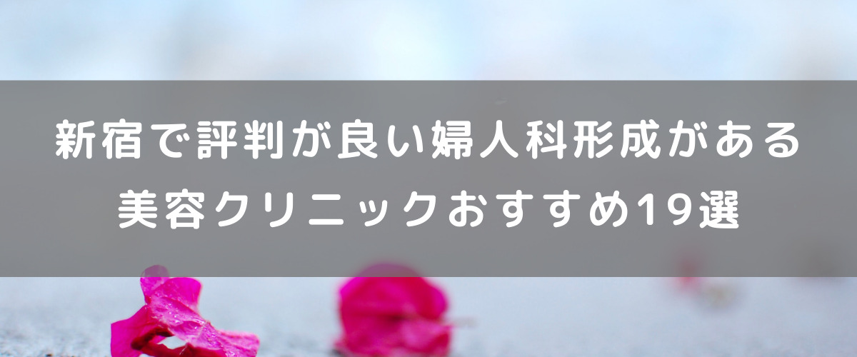 新宿で評判の良い婦人科形成がある美容クリニックおすすめ19選 腟ペディア チツペディア