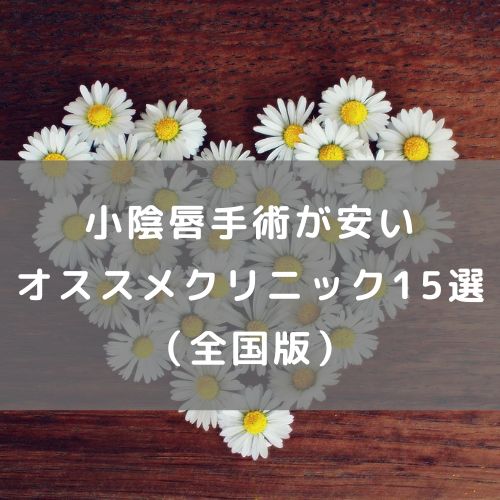 小陰唇手術が安いオススメクリニック15選（全国版）