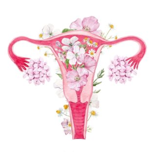 女性器