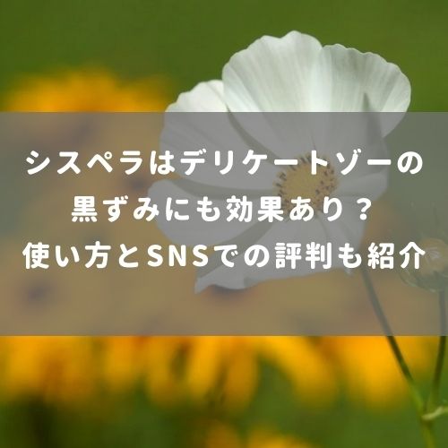 シスペラはデリケートゾーンの黒ずみにも効果あり？使い方とSNSでの評判も紹介 | 腟ペディア（チツペディア）