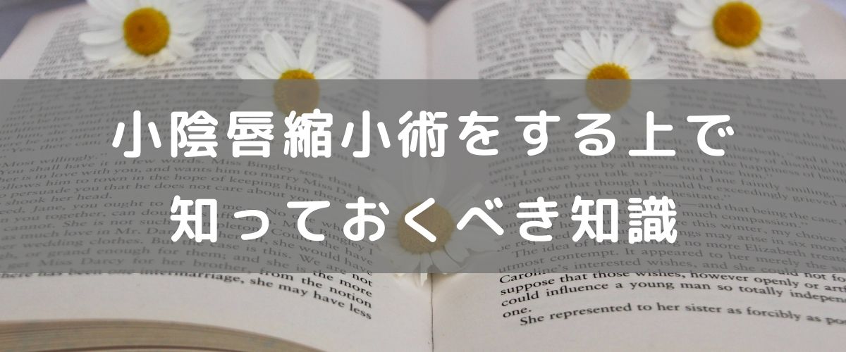 小陰唇縮小術をする上で知っておくべき知識 小陰唇縮小術をする上で知っておくべき知識