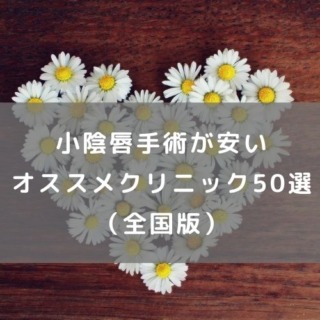小陰唇手術が安いオススメクリニック50選（全国版）