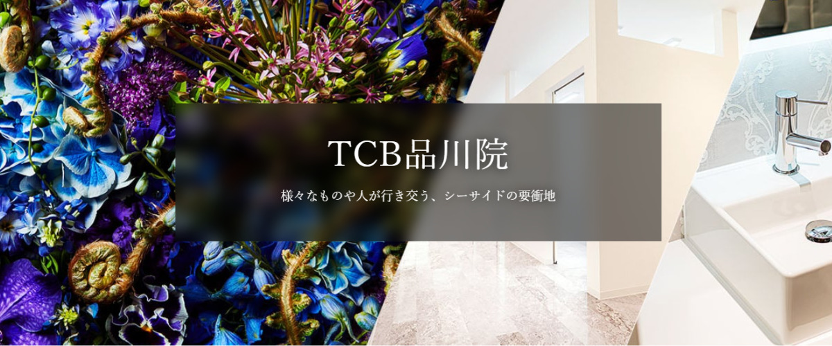 TCB東京中央美容外科 品川院