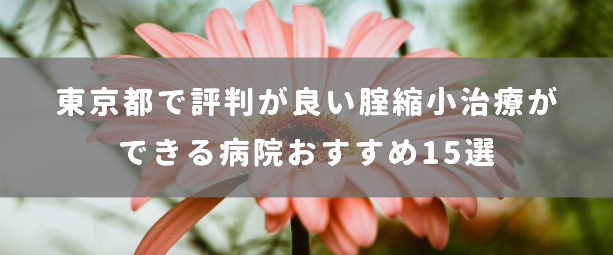 東京都で評判が良い腟（膣）縮小治療ができる病院おすすめ15選