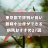 東京都で評判が良い腟（膣）縮小治療ができる病院おすすめ27選