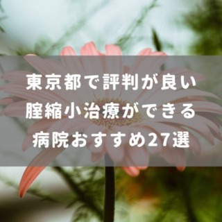 東京都で評判が良い 腟縮小治療ができる 病院おすすめ27選