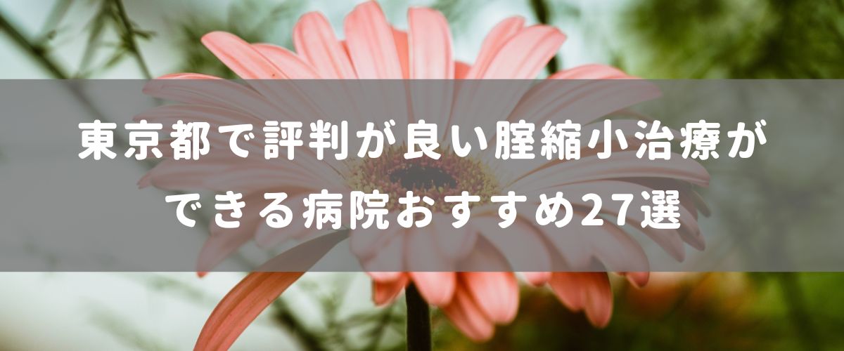 東京都で評判が良い腟(膣)縮小治療ができる病院おすすめ27選 東京都で評判が良い腟(膣)縮小治療ができる病院おすすめ27選