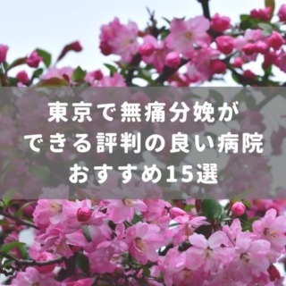 東京で無痛分娩ができる評判の良い病院おすすめ15選