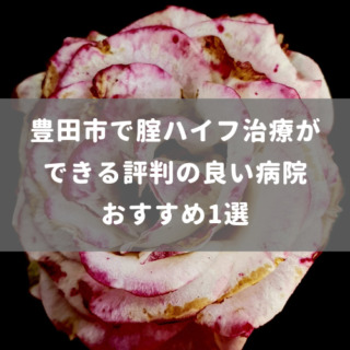 豊田市で腟ハイフ治療ができる評判の良い病院おすすめ1選