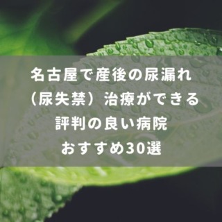 横浜市で産後の尿漏れ（尿失禁）治療ができる評判の良い病院おすすめ20選